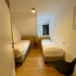 Apartmaji Kotnik